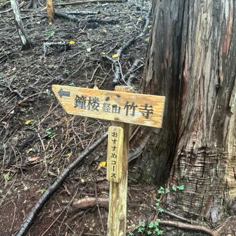 おすすめコースへ