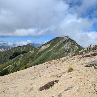 東天井岳への分岐から見た、大天井岳2つ手前のピーク