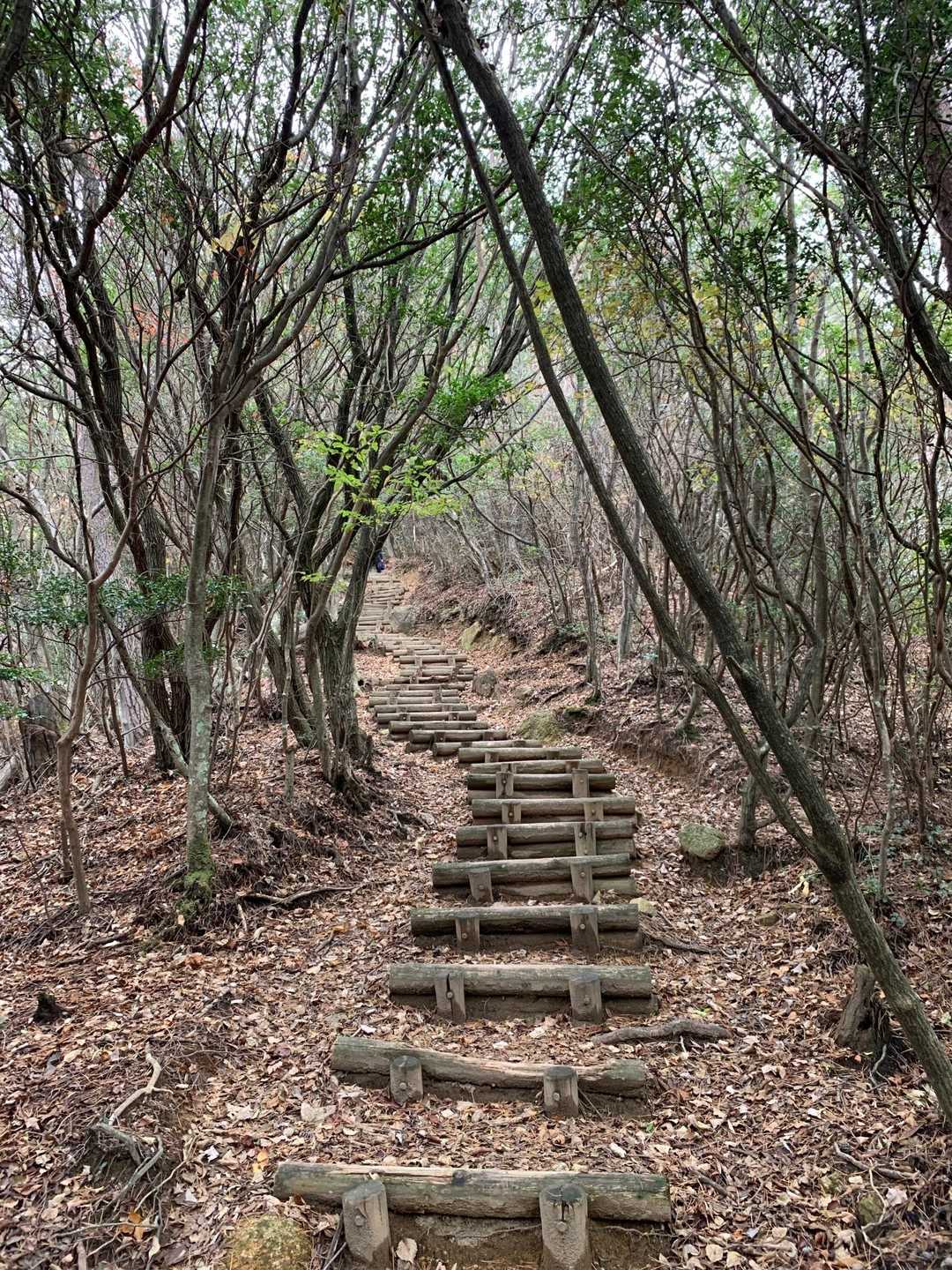 矢筈山・女体山登山口-女体山 (長尾）-矢筈山登山口-矢筈 往復コースの写真