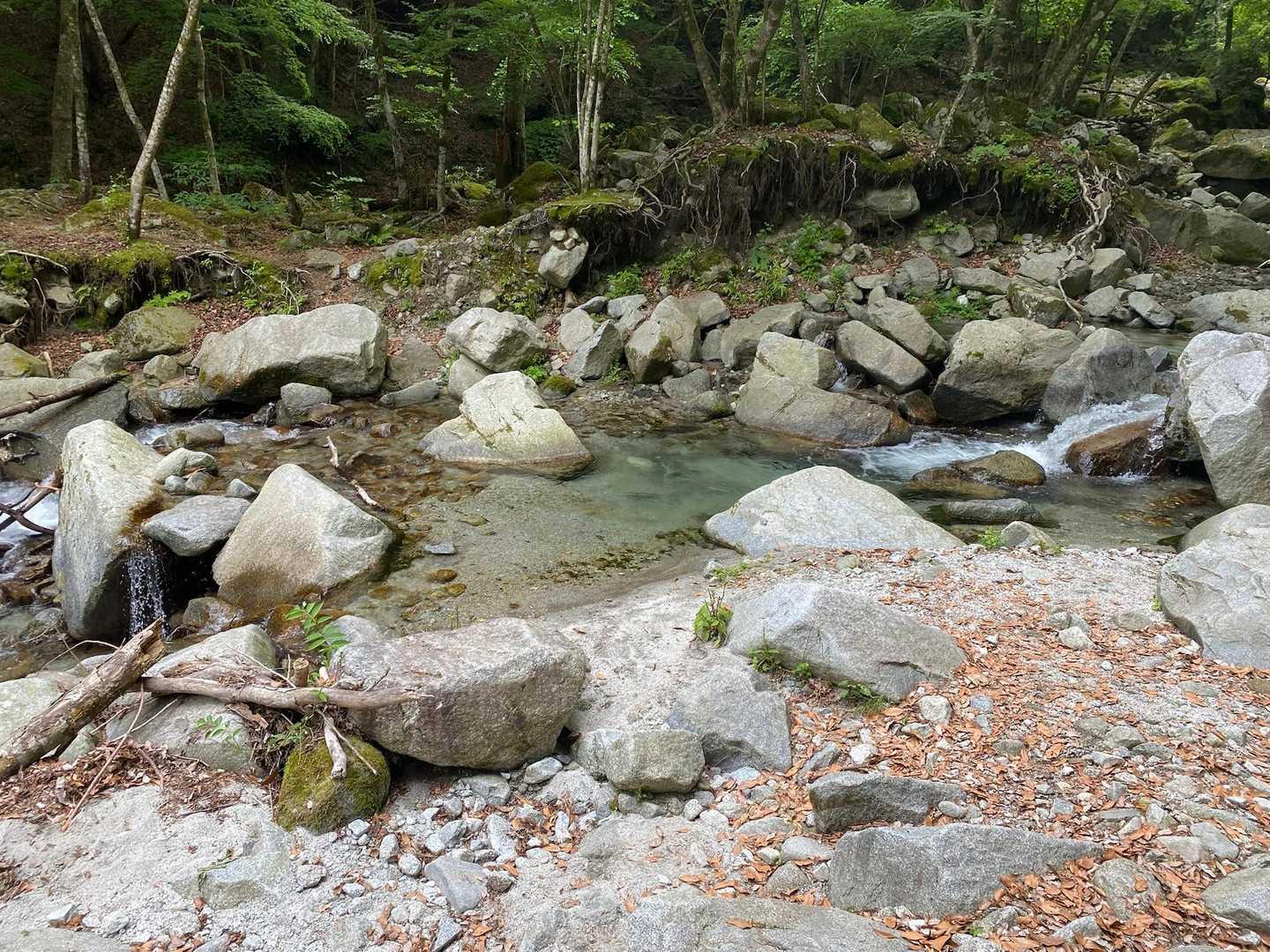 ここですよ、木橋があったと思しき場所。行きはなんとか渡れたけど、帰りは水量が増え苦労しました。