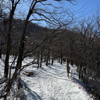 帰って来たー❗️