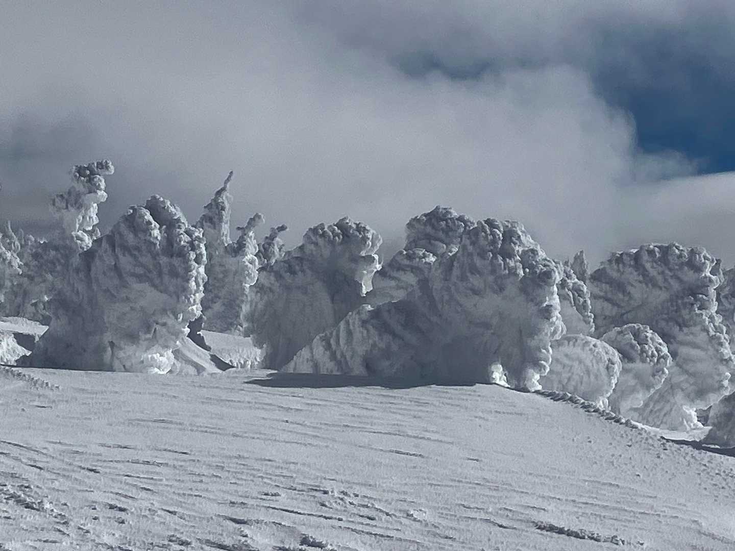 蔵王ライザワールド-仙人沢コース登山口-刈田岳 往復コースの写真