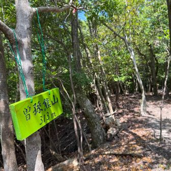 続いて曽孫熊山😁