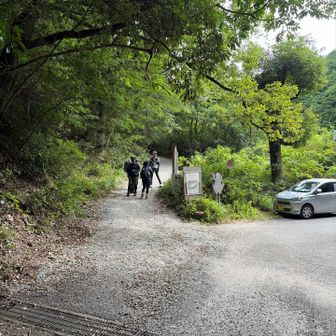登山者多数
下りてくるトレラン風の人も結構多い