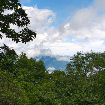 少し視界が開けましたがこの辺だけ。
富士山方向は何も見えず