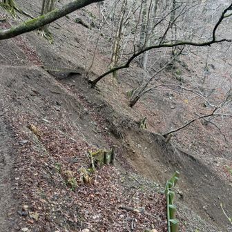 崩落した道と迂回路（上）