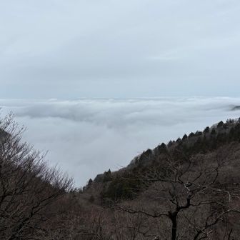 雲海ありがとうございます