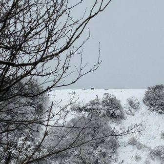 まだ、城ヶ平山
山頂には誰も
居ない様子やな🤔