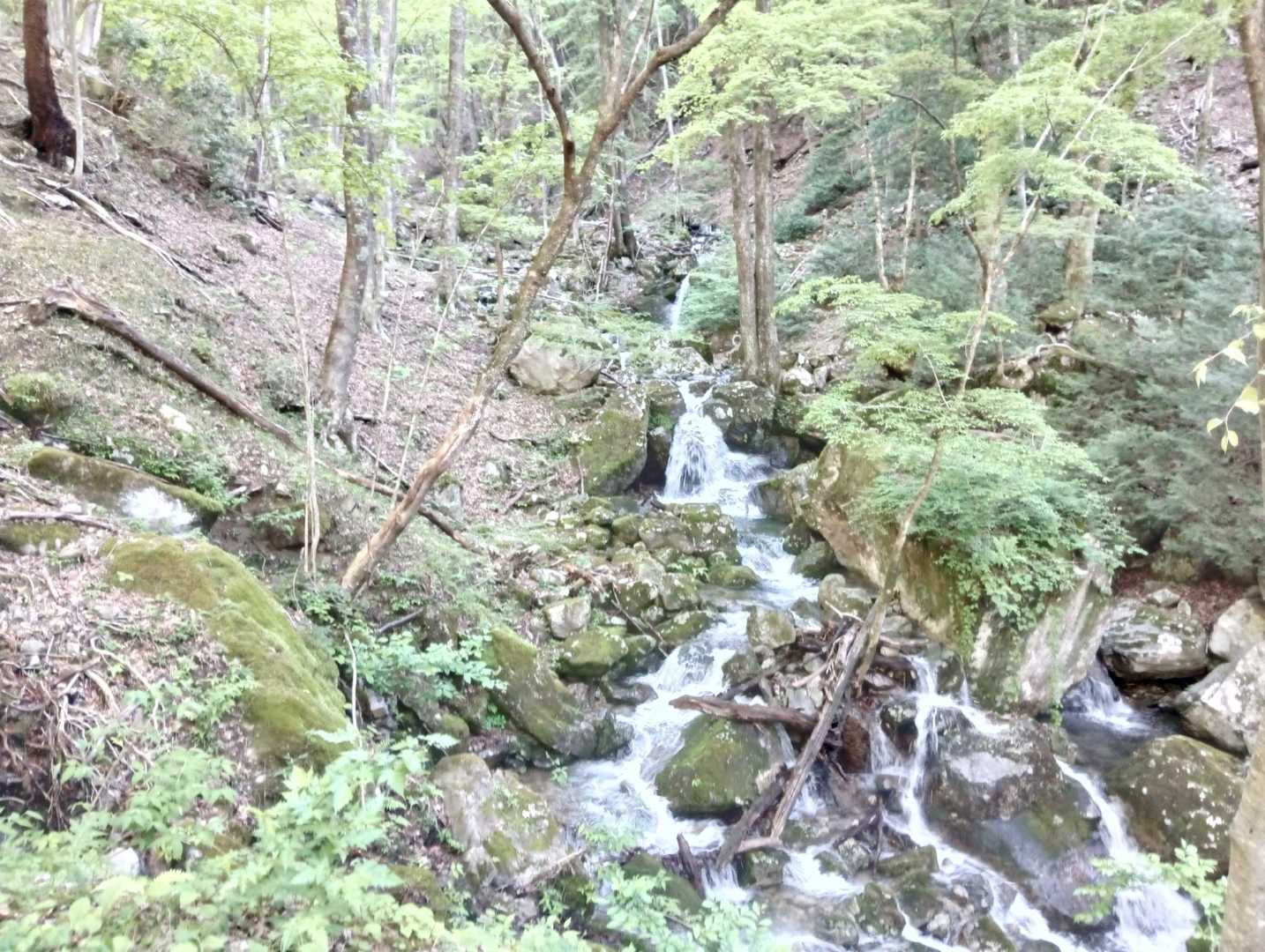 駐車場からの沢😃