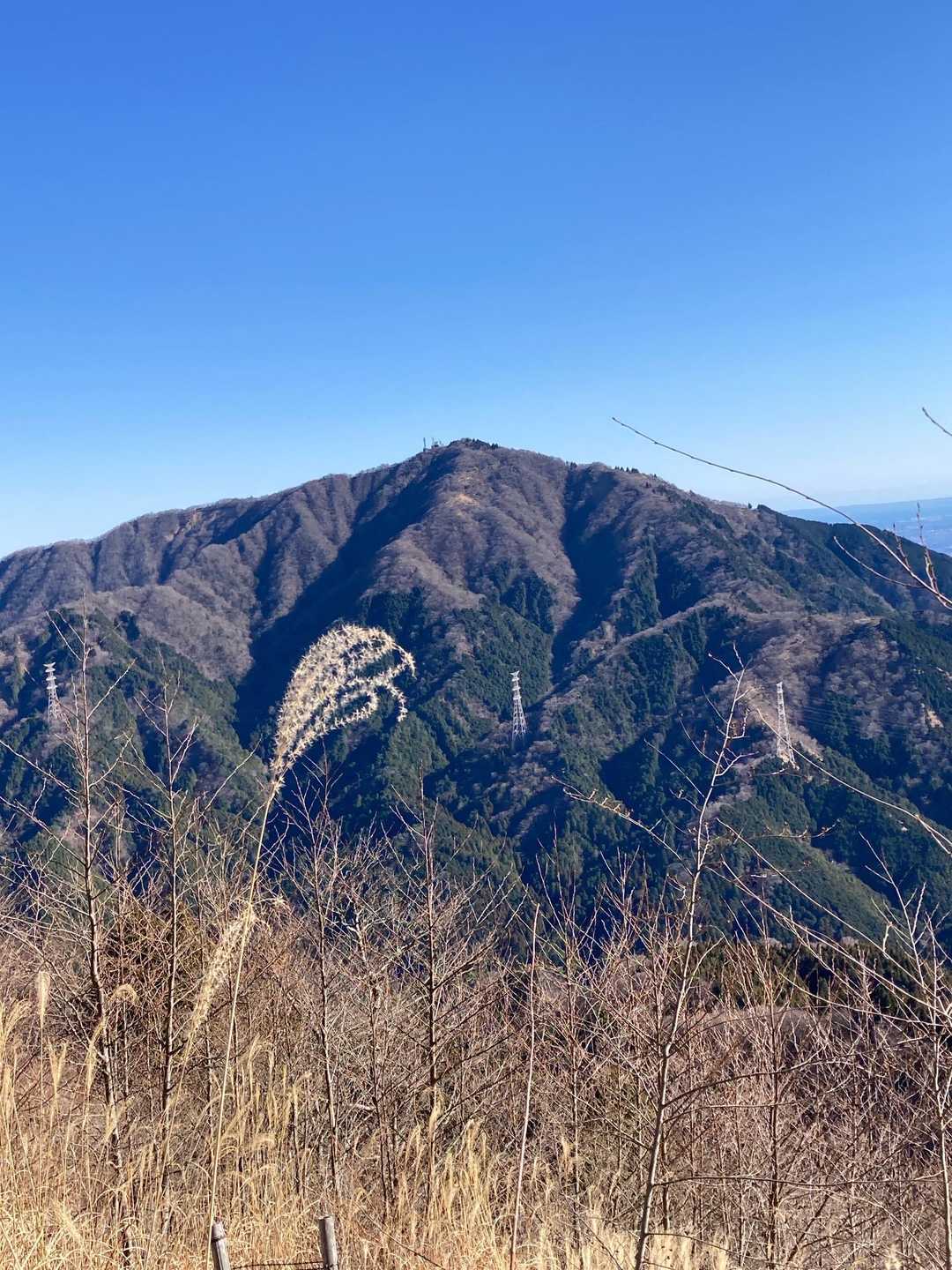 大山阿夫利神社⛩️は
賑やかだろうな
