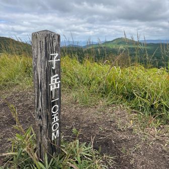 到着