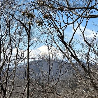 大界木山より富士山
