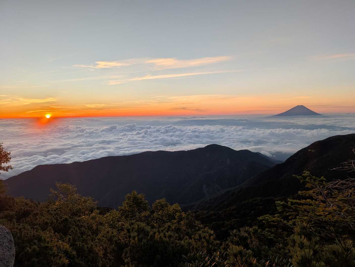 夜叉神峠登山口-夜叉神峠-杖立峠-苺平-砂払岳 往復コースの写真