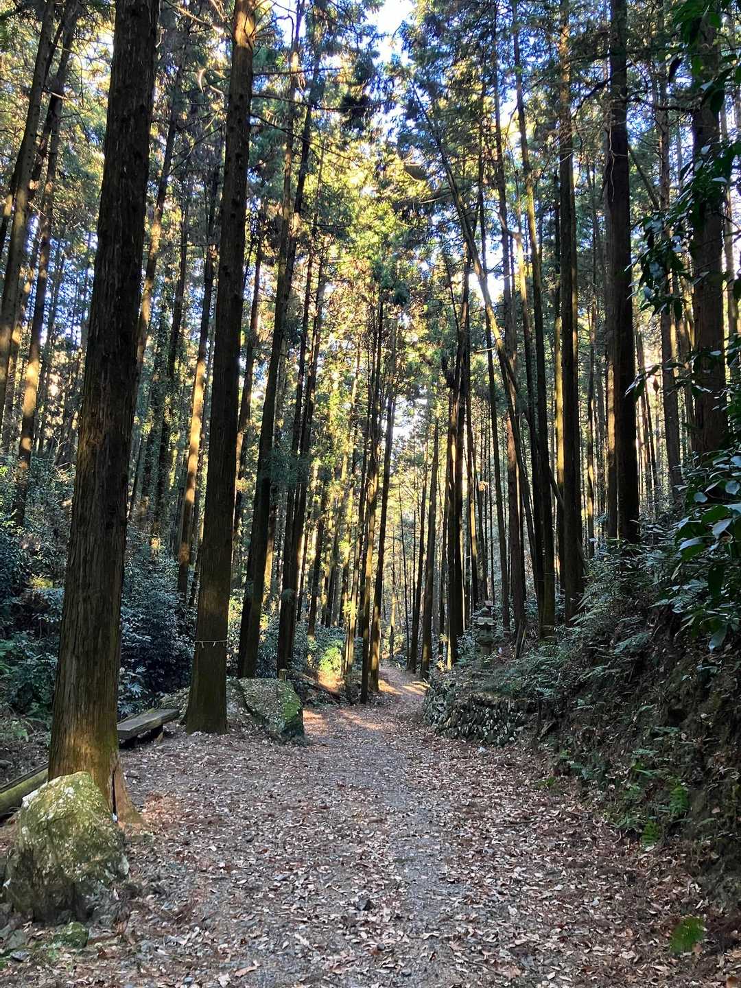ここまで来たら安心😌