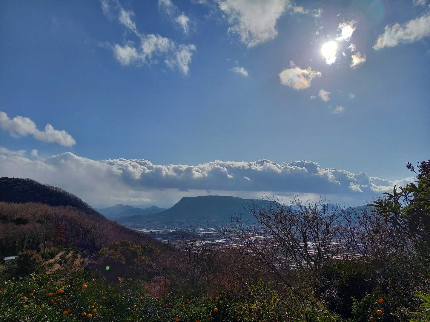 城山だと思うけれど…
