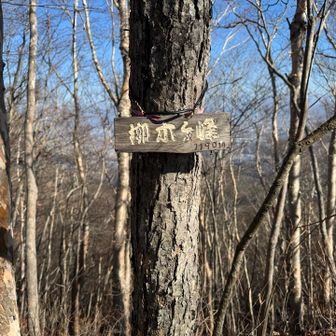 柳木ヶ峰登頂👍