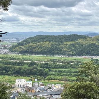 見晴らしその1️⃣
背割桜で有名な八幡の堤&男山🤩