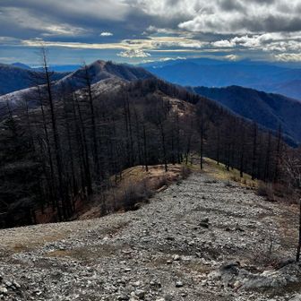 ヨモギノ頭まではザレガレの急登💦
振り返れば七ツ石山からの稜線が綺麗に見えます✨