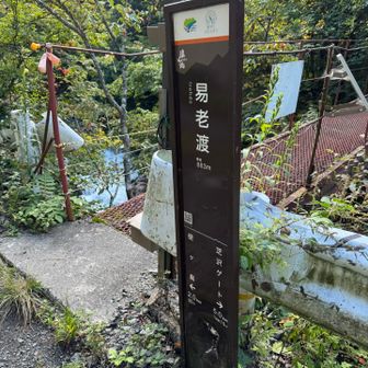 ここから本番