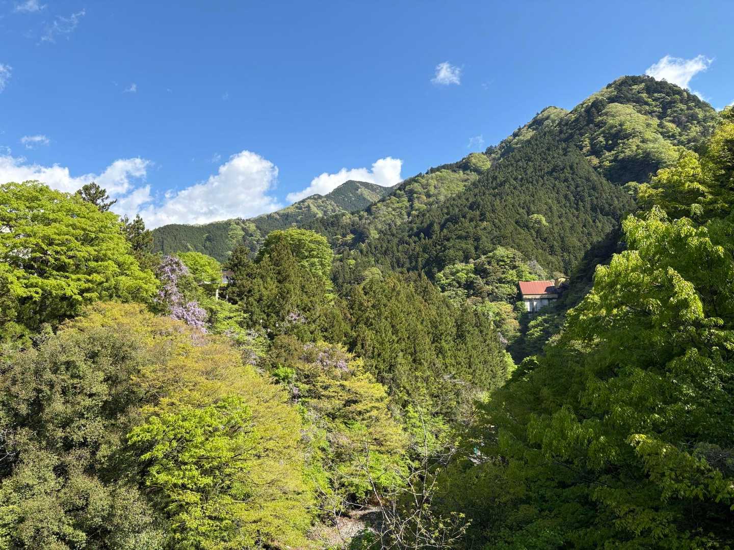 いい天気☀️