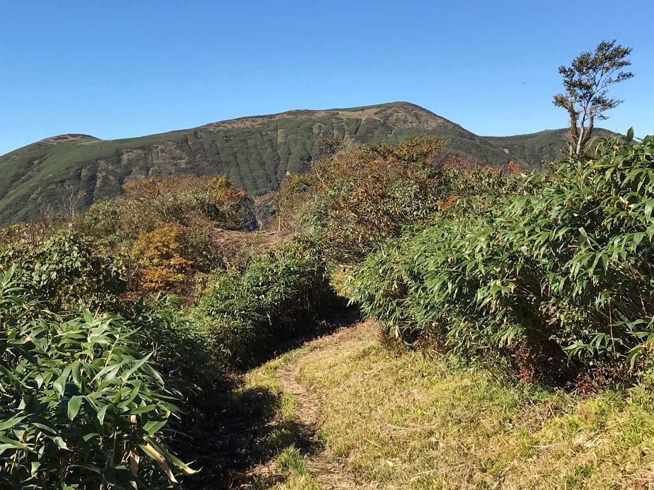 前山より能郷白山