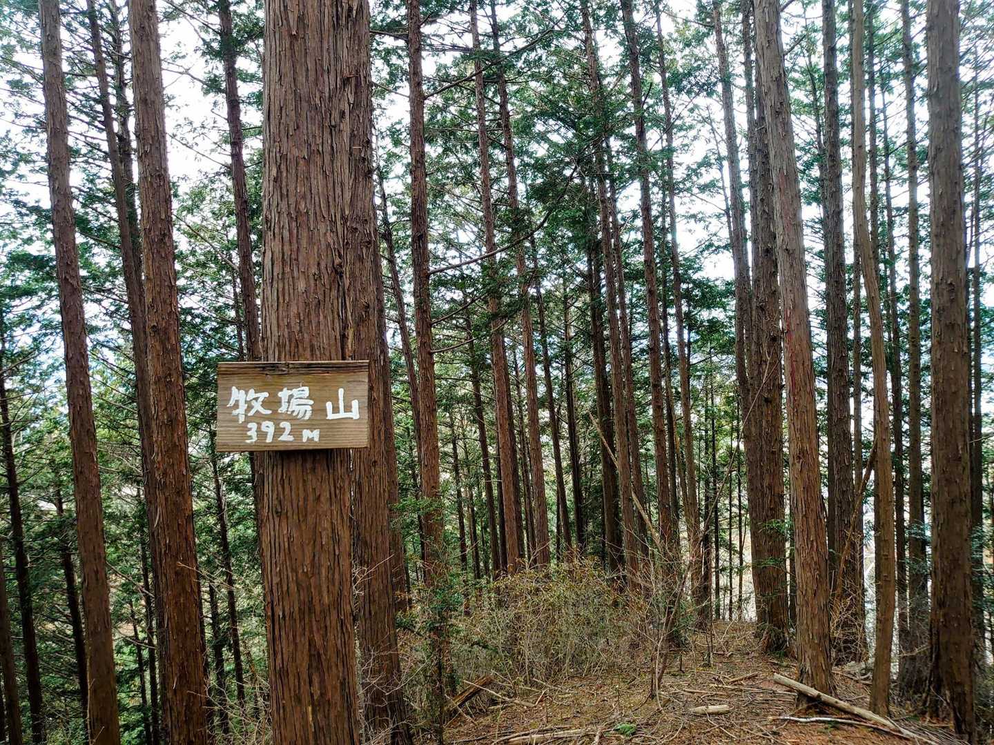 牧場山🗻