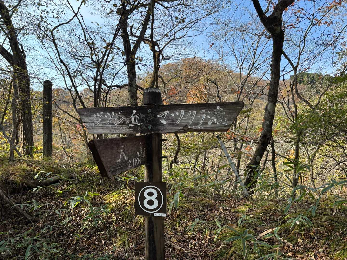 霜降の滝バス停-大山 往復コースの写真