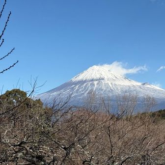 カメラマンが話してた。富士山の左側、なぜか線になって雪がないところがあって綺麗じゃない、と。
