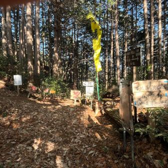 情報量〜😳‼️