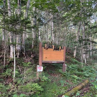 登山口の脇です。前日、通行止になっている林道のドンツキまで行ってみましたが、現在山に入る地点よりかなり上方でした。
渡渉したり家族が自作のクマよけを試したりしながらのらくらしてたらここまで1時間くらいかかってしまいました