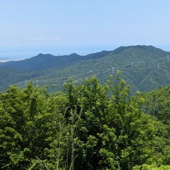今日一番の眺望がありました