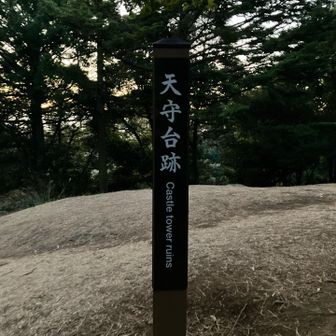 ここが山頂となります