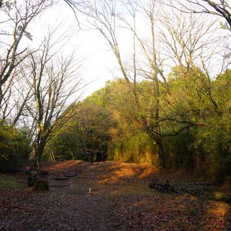 5:00三島→熱海→小田原→6:06箱根湯本
まさかまだ日が登ってない時間とは思わず暗い中スタート
冬至の日にロングコース挑戦