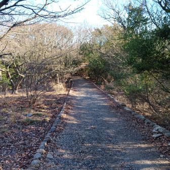 今日は予定していた7つのピークハントに3つプラスする10のピークハントに成功しました㊗️

うどん屋滞在時間が意外にも短かったのでおかわり登山することが可能になりました✌