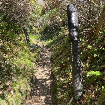 地蔵山分岐。疲労困憊ながら、あとはただ降るだけ！