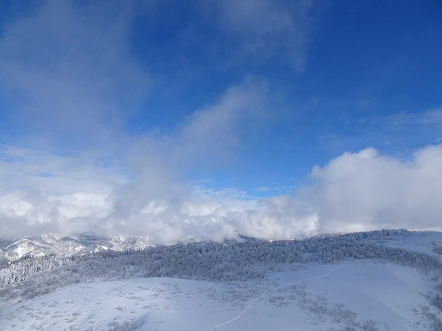 白山は雲⛅️の中
