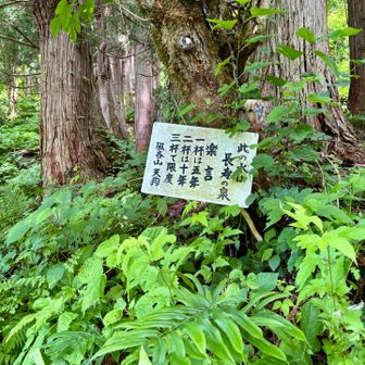 がぶ飲みしたオラは、悪行との差引で💦💦