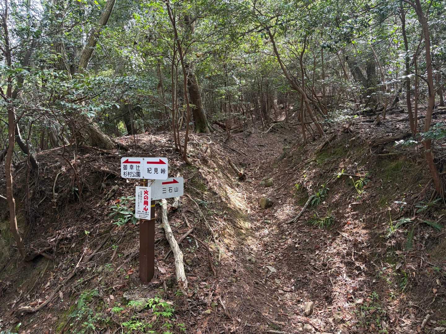 三石山登山口-三石山 往復コースの写真