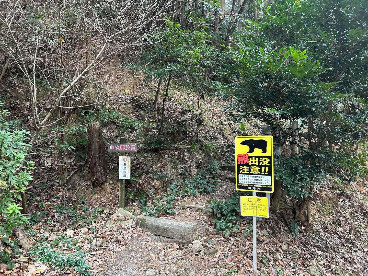 ここから登ります
