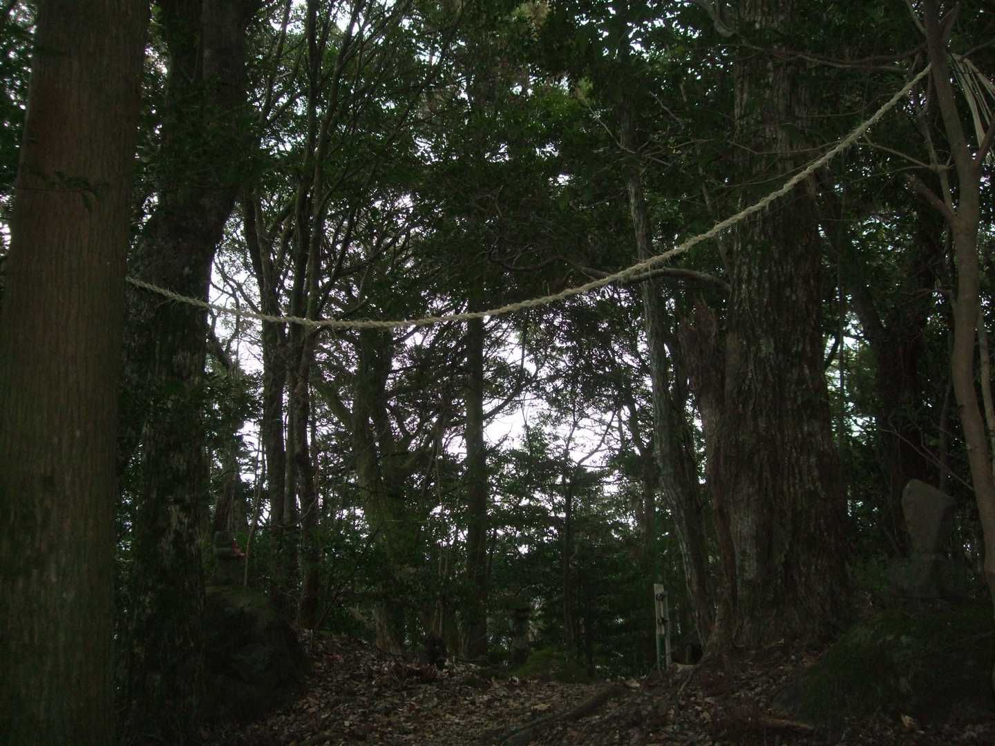 年末に付け替えたのでしょうか、
一年間耐えてください🙏