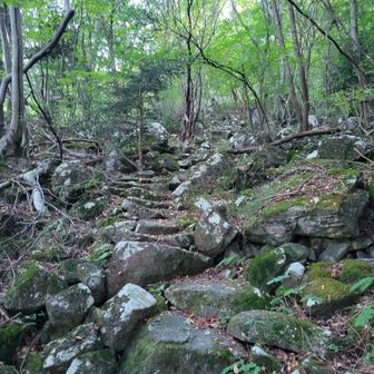 登山口からいきなり岩場でココロオドル🪇