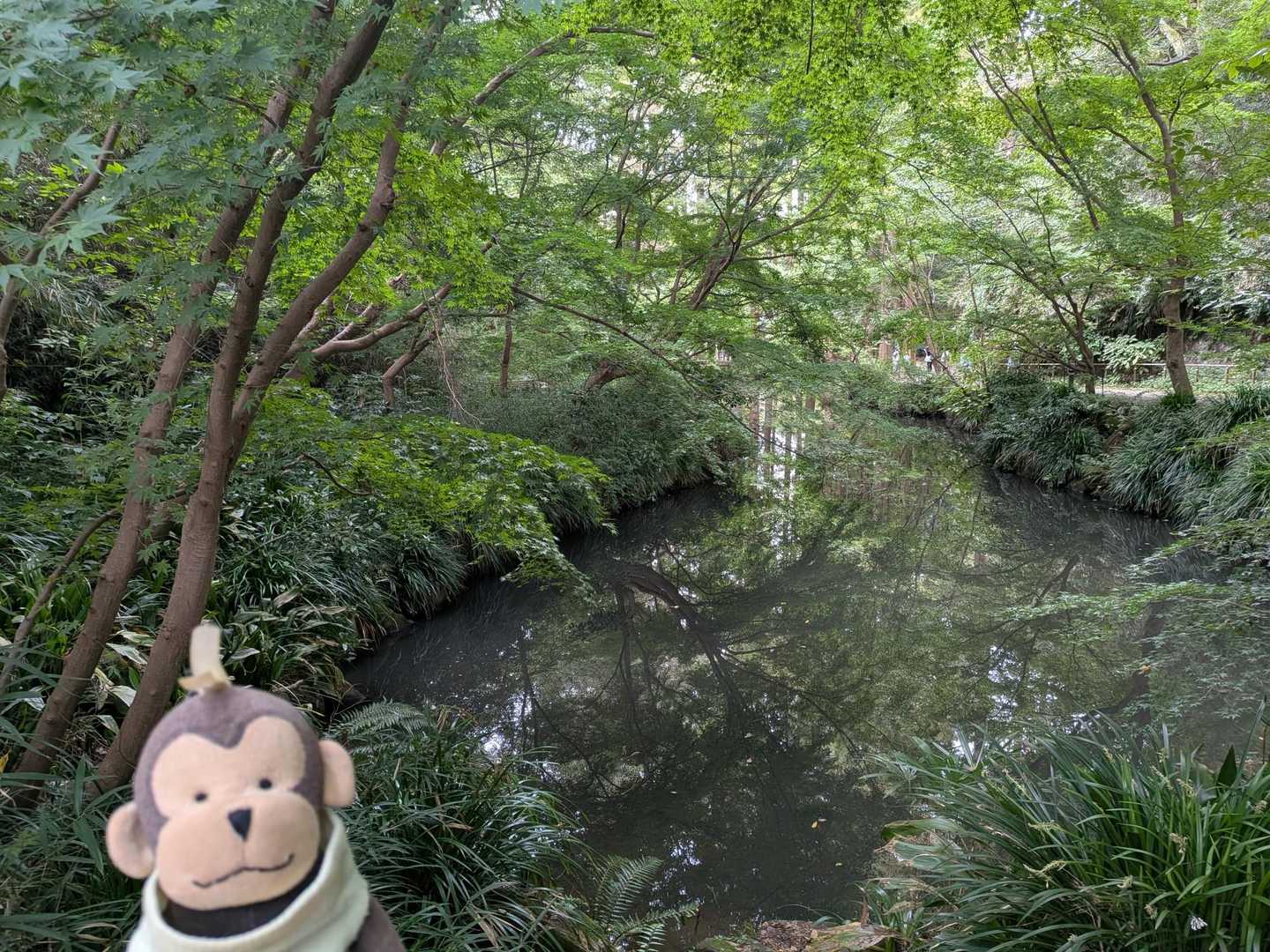 メタセコイアの森でリラックス！生田緑地ハイキング / monkichi_1のハイキングデータ | YAMAP / ヤマップ