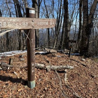 さあ、埼玉県へ入ります