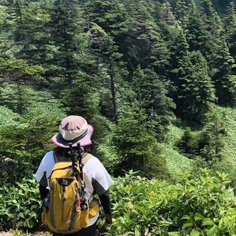 あむばば