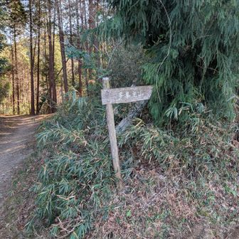 何度か行っているけど多峯主山へ