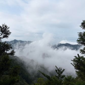 ガッスガス😶‍🌫️