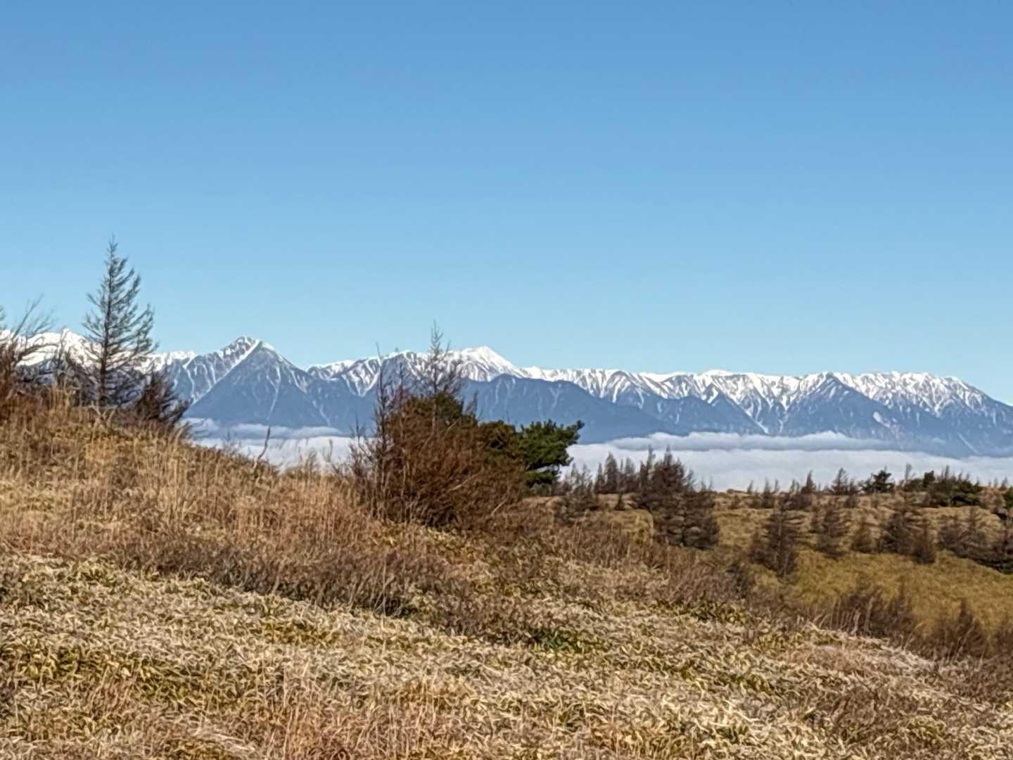 鉢伏山-前二ツ山-二ッ山 周回コースの写真