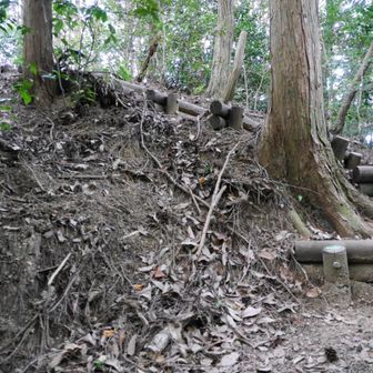 やや登る