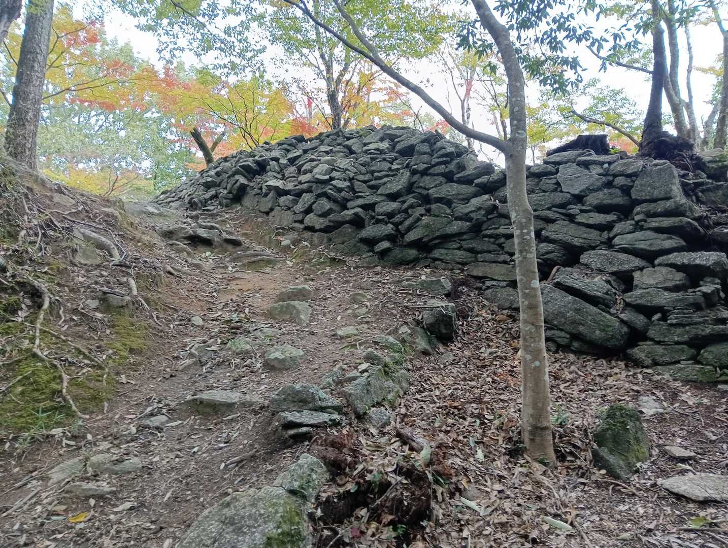 大給城址の石垣🪨
