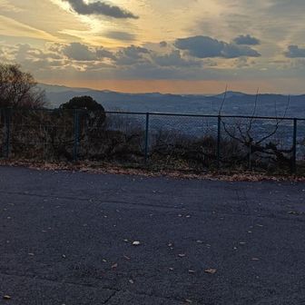 結構な台数とめれます